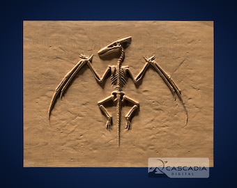 Fossil Full Pterodactyl 3D STL Model for CNC/3D Printing Dino