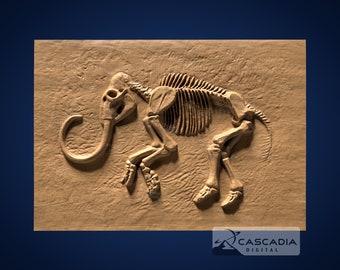 Woolly Mammoth Fossil Full 3D STL Model for CNC/3D Printing