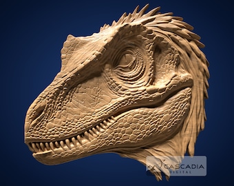 HEAD ヘッド RAPTOR R3RD 26,5cm New HEAD Worldcup Rebels Raptor