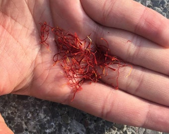 Saffron from Taliouine Morocco