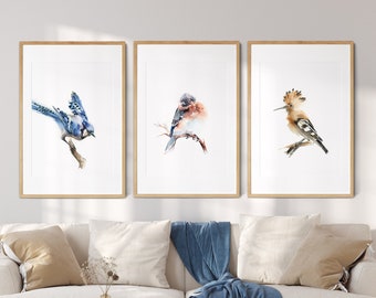 Wiedehopf Druck, blauer Vogel und Blauhäher Druck-Galeriewand-Set mit 3 Aquarell-Drucken, Vögel Gemälde Kunst, Vogel-Illustrations-Wand-Dekor