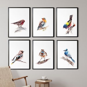 Gallery Wall Fine Art Print 6 Pieces Wall Art Bird Watercolor Painting - Sparrow, Waxwing, Blue Jay, Painted Bunting, Bluethroat, Robin Bird