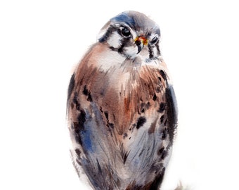 American Kestrel Fine Art Print, Bird Painting, Bird Wall Decor, Woodland Wall Art, Bird Art Print, Ketsrel Watercolor Print, Bird Wall Art