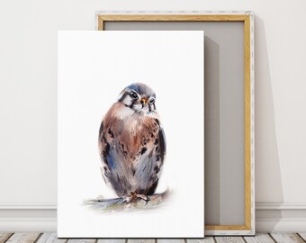 Kestrel Canvas Art Print, American Kestrel Painting, Watercolor Print, Woodland Wall Decor, Wild Birds Fine Art Print, Bird Watercolor Print