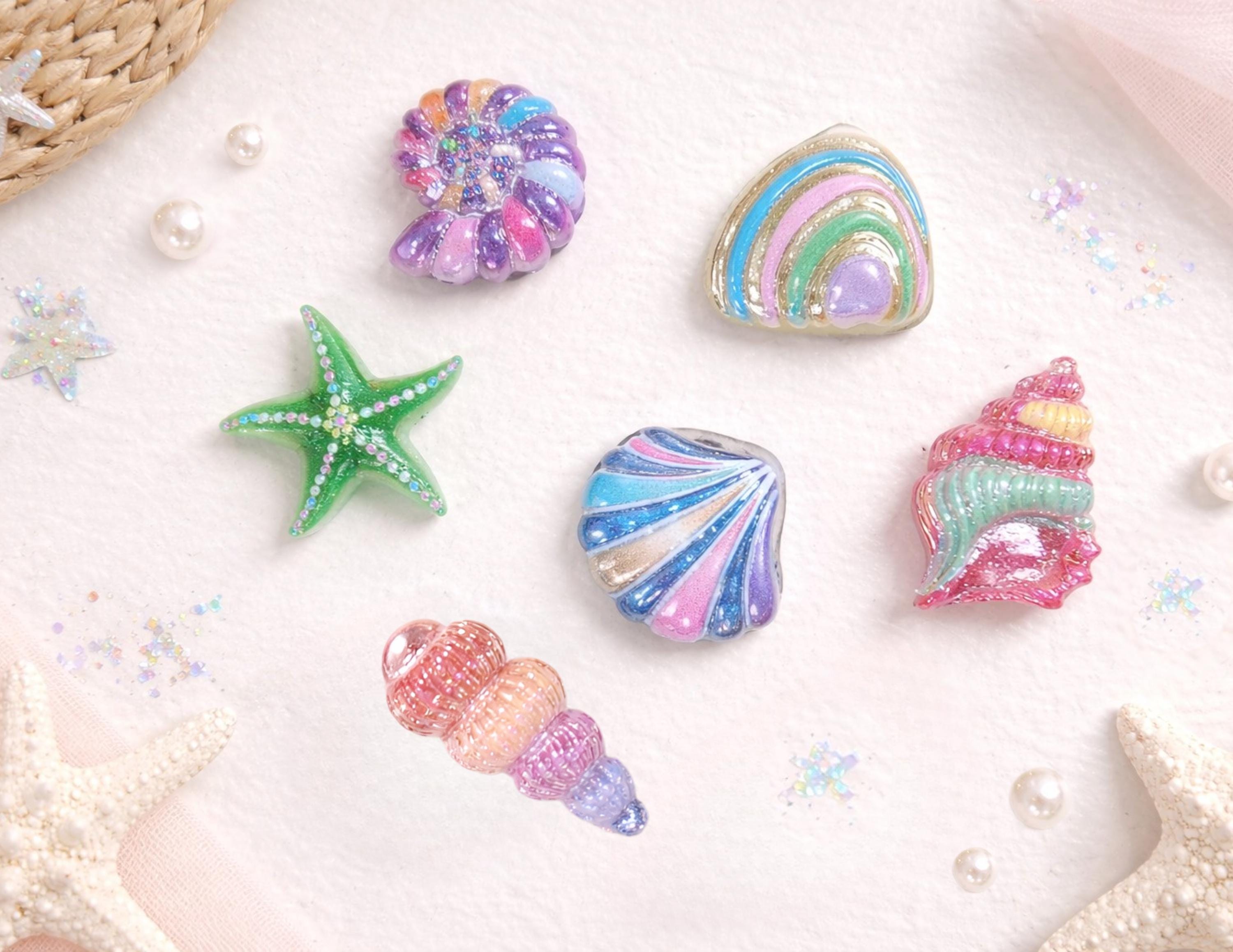 Seashell Fridge Magnets Set of 6 | Beach Shell Magnets | Coastal Decor ...