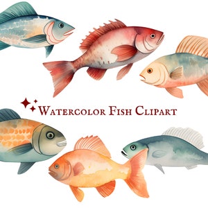 Watercolor Fish Clipart - 18 PNG Images - Aquatic Life - Fish Illustrations - Instant Download - Commercial Use - Ocean Clipart