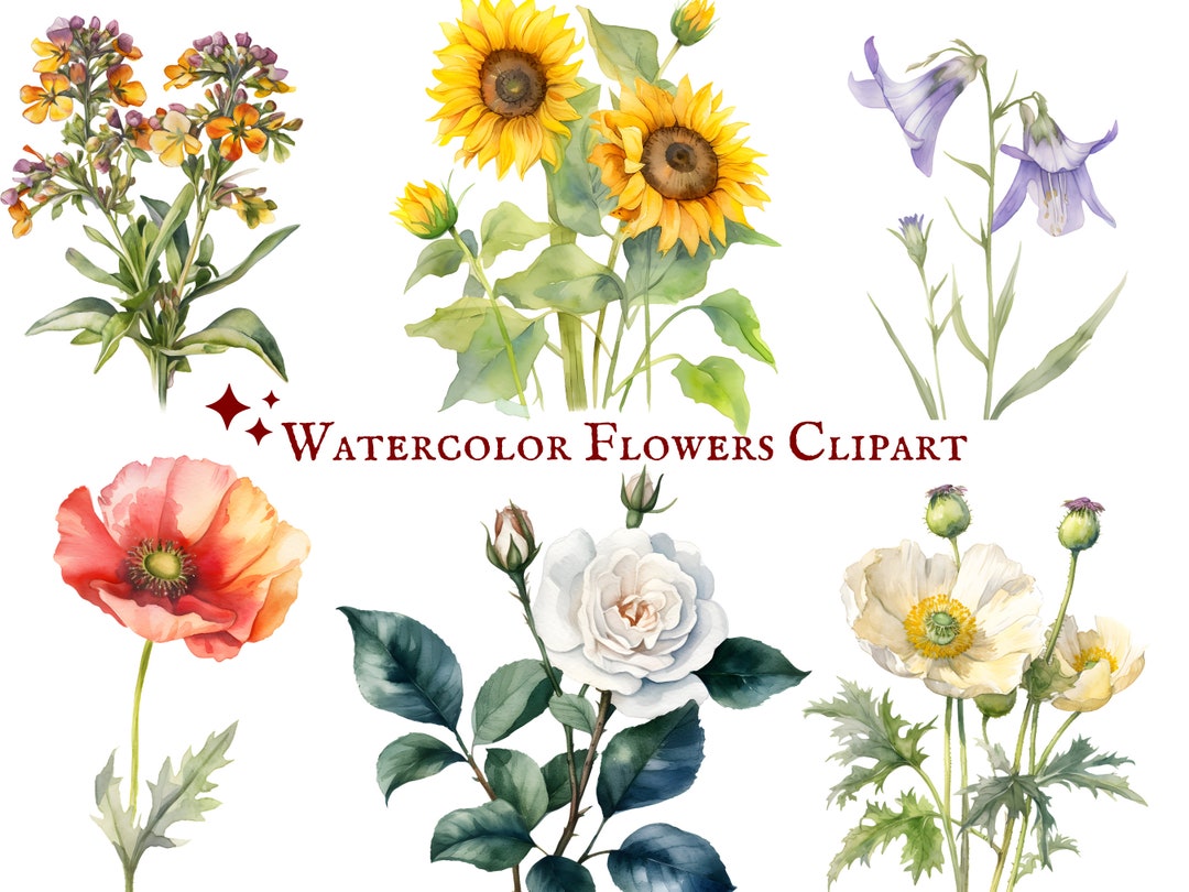 Watercolor Flowers Clipart - 22 PNG Images - Floral Clipart - Instant ...
