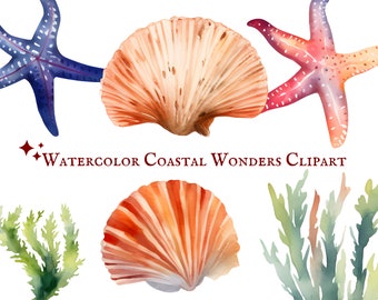 Aquarell Coastal Wonders Clipart - Muscheln, Seestern, Algen - 20 PNG-Dateien - Sofortiger Download - Kommerzielle Nutzung