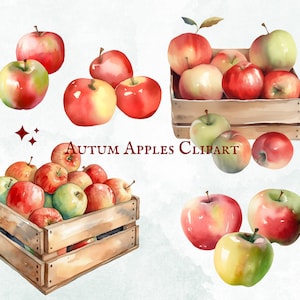 Clipart de maçãs de outono em aquarela - 22 gráficos PNG - download instantâneo - uso comercial - coleção de arte digital