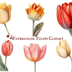 Aquarel tulpen clipart-25 PNG-afbeeldingen-Floral clipart-Instant Download-commercieel gebruik-lente clipart-Boho clipart