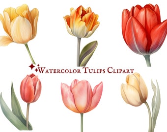 Watercolor Tulips Clipart - 25 PNG Images - Floral Clipart - Instant Download - Commercial Use - Spring Clipart - Boho Clipart