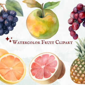 Clipart de frutas aquarela - 25 gráficos PNG - Download instantâneo - Uso comercial - Coleção de arte digital