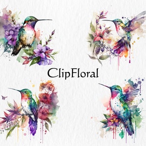 Puede incluir: Cuatro acuarelas de colibr&iacute;es con flores y salpicaduras de pintura. Los colibr&iacute;es est&aacute;n en varias poses, algunos con las alas extendidas y otros con las alas plegadas. Las flores son en tonos de rosa, morado y azul. Las salpicaduras de pintura son en tonos de verde, azul y morado.