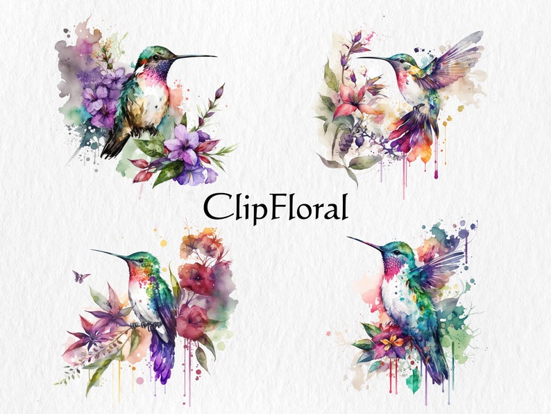 Puede incluir: Cuatro acuarelas de colibr&iacute;es con flores y salpicaduras de pintura. Los colibr&iacute;es est&aacute;n en varias poses, algunos con las alas extendidas y otros con las alas plegadas. Las flores son en tonos de rosa, morado y azul. Las salpicaduras de pintura son en tonos de verde, azul y morado.