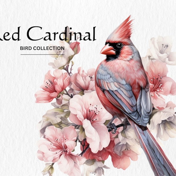 Red Cardinal Clipart, 8 High Quality PNGs, Nursery Art, Digital Download, Card Making, Cute Bird Clipart, Digital Paper Craft, Watercolor