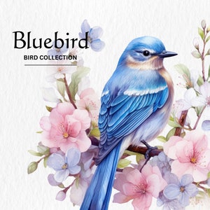 Bluebird Clipart, 8 hochwertige PNGs, Kinderzimmer Kunst, digitaler Download, Karten machen, niedliche Vogel Clipart, digitales Papier Handwerk, Aquarell