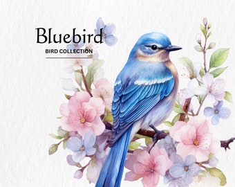 Bluebird Clipart, 8 High Quality PNGs, Nursery Art, Digital Download, Card Making, Cute Bird Clipart, Digital Paper Craft, Watercolor