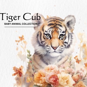 Baby Tiger Cub Clipart, 8 High Quality PNGs, Watercolor Illustration, Nursery Art, Digital Download, Animal Clipart, Digital Paper Craft