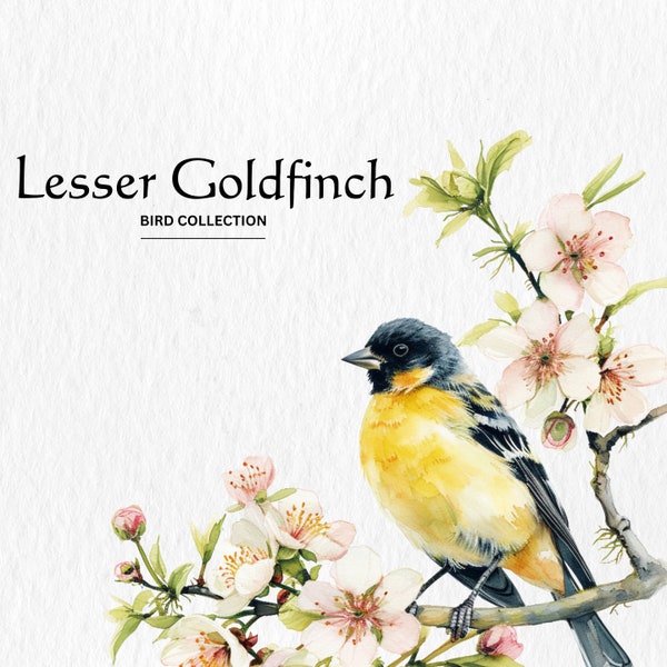 Watercolor Lesser Goldfinch Clipart, 10 High Quality PNGs, Nursery Art, Digital Download, Card Making, Cute Bird Clipart, Digital Paper