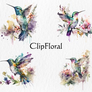 Puede incluir: Cuatro ilustraciones de acuarela de colibr&iacute;es con colores vibrantes y detalles florales. Cada colibr&iacute; est&aacute; posado en una rama con flores y hojas. El fondo es un blanco suave con salpicaduras de acuarela.