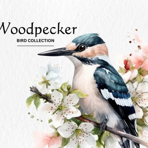 Woodpecker Clipart, 8 High Quality PNGs, Nursery Art, Digital Download, Card Making, Cute Bird Clipart, Digital Paper Craft, Watercolor