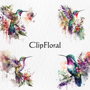 Puede incluir: Cuatro ilustraciones de acuarela de colibr&iacute;es con flores coloridas y pintura salpicada. Los colibr&iacute;es son verdes, azules, morados y rosas. Las flores son rosas, moradas y amarillas. El fondo es blanco.