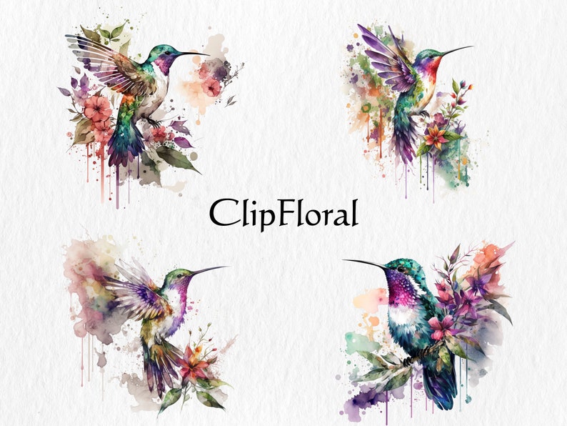 Puede incluir: Cuatro ilustraciones de acuarela de colibr&iacute;es con flores coloridas y pintura salpicada. Los colibr&iacute;es son verdes, azules, morados y rosas. Las flores son rosas, moradas y amarillas. El fondo es blanco.