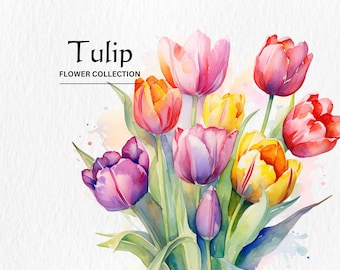 Watercolor Tulip Flowers Clipart Bundle - watercolor tulip flowers 8 PNG format instant digital download for commercial use