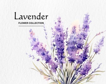 Akvarell lavendelblommor Clipart-paket (digital nedladdning av PNG)