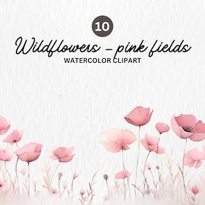 Flores silvestres - Clipart floral selvagem - Clipart floral - Clipart de bordas florais - Bordas pré-fabricadas - Clipart pré-fabricado - Clipart aquarela