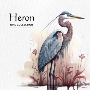 Heron Clipart, 8 High Quality PNGs, Nursery Art, Digital Download, Card Making, Cute Bird Clipart, Digital Paper Craft, Watercolor