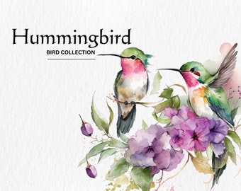 Beautiful Hummingbird 14 PNG Art Bundle, Paper Crafting and Digital Crafting, Hummingbird Clip Art, Digital Illustration Bundle, Watercolor