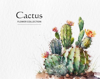 Peut inclure: Peinture à l'aquarelle d'un cactus avec des fleurs roses et jaunes. La peinture est intitulée "Collection de fleurs de cactus".