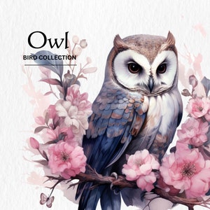 Owl Clipart, 8 High Quality PNGs, Nursery Art, Digital Download, Card Making, Cute Bird Clipart, Digital Paper Craft, Watercolor