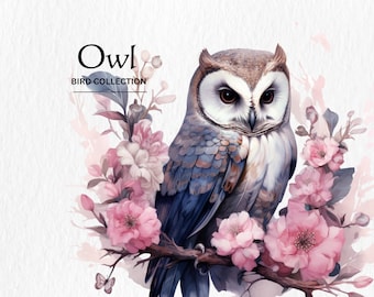 Watercolor Owl Clipart, Floral Bird PNGs, Nursery Art (Digital Download)