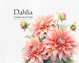 Watercolor Dahlia Flower Clipart Bundle: Commercial Use (PNG Digital Download)