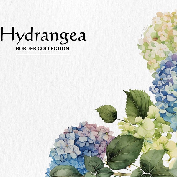 Watercolor Hydrangea Border Clipart Bundle - watercolor hydrangea border 8 PNG format instant digital download for commercial use