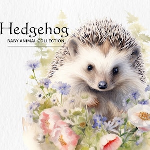 Bébé hérisson Clipart, 8 PNG de haute qualité, Illustration aquarelle, pépinière Art, téléchargement numérique, Clipart Animal mignon, artisanat en papier numérique