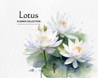 Watercolor Lotus Flower Clipart Bundle: PNG Digital Download