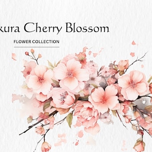 Aquarell Sakura Kirschblüte Clipart Bundle - Aquarell Sakura Kirschblüte 8 PNG format sofortiger digitaler Download für kommerzielle Nutzung