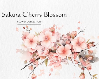Clipartbundel aquarel kersenbloesem – Sakura Floral, png (digitale download)
