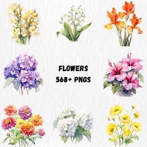 K&ouml;nnte beinhalten: Aquarellillustrationen verschiedener Blumen, darunter gelbe Freesien, wei&szlig;es Maigl&ouml;ckchen, orangefarbene Iris, lila Hortensien, rosa Hibiskus und bunte Zinnien. Der Text "FLOWERS 568+ PNGS" ist enthalten.
