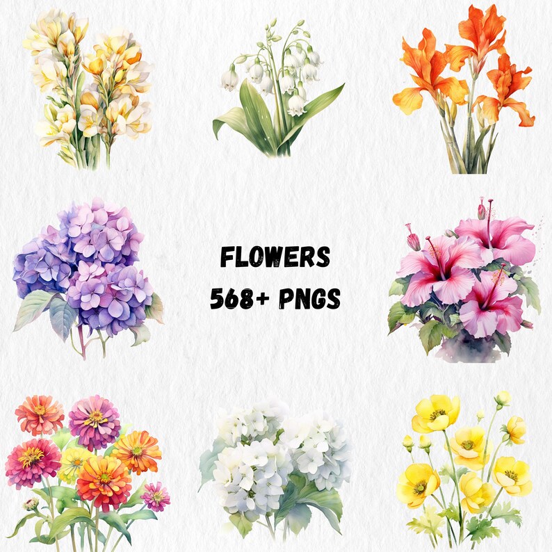 K&ouml;nnte beinhalten: Aquarellillustrationen verschiedener Blumen, darunter gelbe Freesien, wei&szlig;es Maigl&ouml;ckchen, orangefarbene Iris, lila Hortensien, rosa Hibiskus und bunte Zinnien. Der Text "FLOWERS 568+ PNGS" ist enthalten.