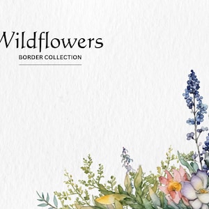 Aquarelle Wildflowers Border Clipart Bundle - aquarelle fleur sauvage frontière 8 PNG format téléchargement numérique instantané pour un usage commercial