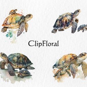 以下が含まれることがあります： 水彩画で描かれた4匹のウミガメ。そのうち2匹は背中に小さなウミガメを乗せている。ウミガメは緑、茶色、青の色合いで描かれており、周りに水彩絵の具の飛沫が描かれている。ウミガメの下には黒い文字で「ClipFloral」と書かれている。