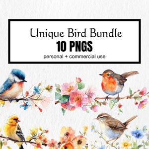 Clipart unique de lot d'oiseaux, aquarelles beaux oiseaux, mésange, cardinal rouge, merle bleu, téléchargement numérique instantané pour un usage commercial