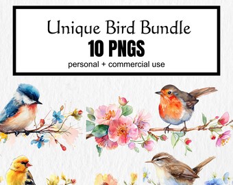 Watercolor Bird Clipart Bundle: Chickadee, Cardinal, Bluebird (Digital Download)
