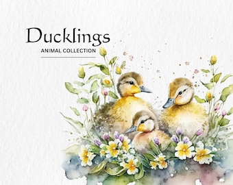 Imágenes prediseñadas de patitos de acuarela: PNGs de arte infantil (descarga digital)