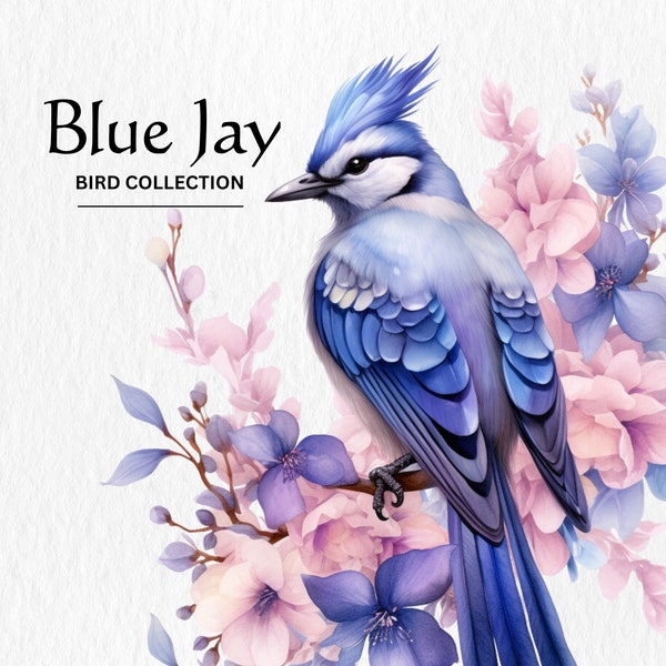 Blue Jay Clipart, 8 High Quality PNGs, Nursery Art, Digital Download, Card Making, Cute Bird Clipart, Digital Paper Craft, Watercolor