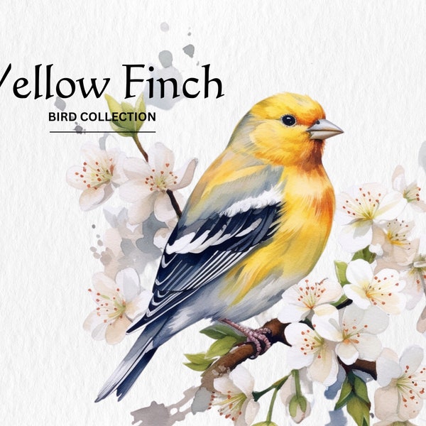 Yellow Finch Clipart, 8 High Quality PNGs, Nursery Art, Digital Download, Card Making, Cute Bird Clipart, Digital Paper Craft, Watercolor